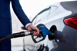 Automotive Ethanol Gasoline market