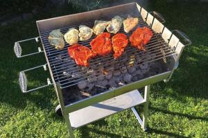 Cooking Grills Market
