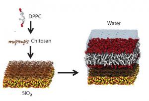 Artificial Inorganic Membranes market