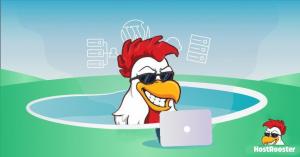 HostRooster is the place people come to name their idea, build a professional website, attract customers, sell their products and services and manage their work.