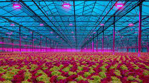 Horticultural LED Lighting Market