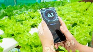 Food Traceability Market