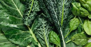 Lutein Market