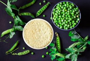 Global Pea Protein Market