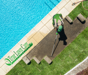 True Lawn Care Inc. 2