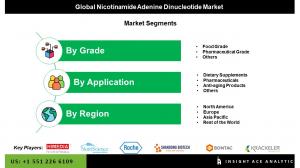 Nicotinamide Adenine Dinucleotide market seg