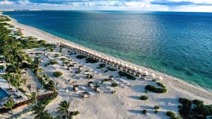 ATELIER Playa Mujeres es el primer resort en contar con una playa certificada con el sello Platino en el municipio de Isla Mujeres