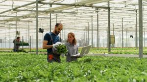 Vertical Farming market
