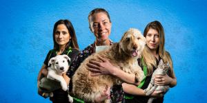 Da Vinci's popular show about The Second Chance Animal Rescue's mission to help abandoned pets.