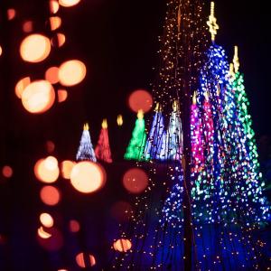 Photo of christmas trees made of lights of different colors with stars on top and twinkling lights off to the side.