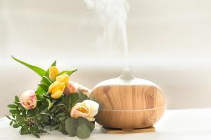 Aromatherapy Machines Market