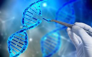 CRISPR Technology Market