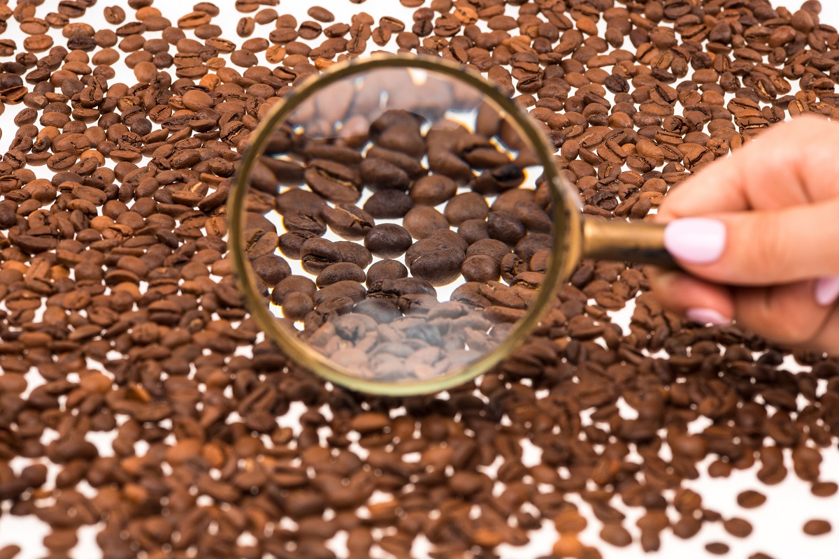 Coffee Roast Degree Analyzer