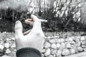 Nicotine market