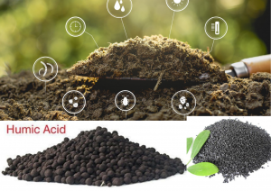 Humic Acid Market