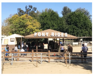 Animal Wellness Groups Commend Los Angeles Department of Recreation and Parks for Ending Pony Rides Attraction