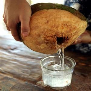 Coconut Water Market