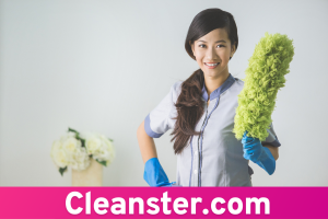 Cleanster.com 1