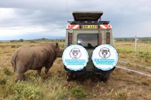 Black rhino gets very close to KenyaLuxurySafari.co.uk 4*4 Landcruiser.