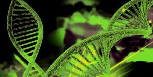 Plant Genomics Market