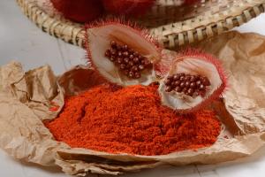 Annatto Extract Market Trends and Demand