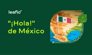 LEAFIO AI Soluciones automatizadas para retail - Mexico and LATAM