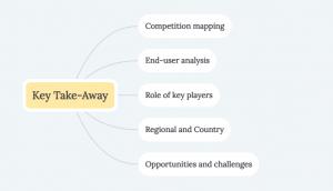 Business Process Management Platform as a Service Market