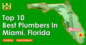 Top 10 Best Plumbers in Miami, Florida