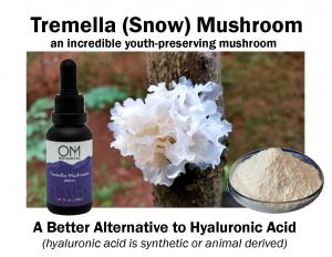Tremella mushroom face serum