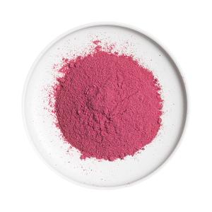 Freeze-dried fruit Powder