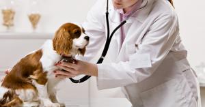 Animal Healthcare Market