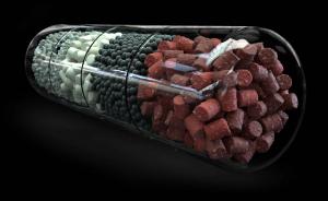 Molecular Sieve Catalyst Market Outlook