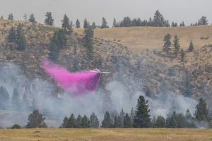 Fortress prevents the spread of wildfires with the application of long term aerial fire retardant.