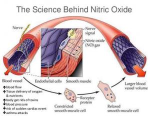 portable nitric oxide delivery system