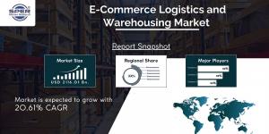 E-Commerce Logistics and Warehousing Market