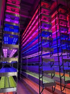 Columns being erected in a new Vertical Future built farm currently under construction.