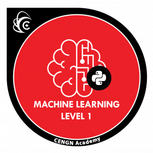 Machine Learning Basics Level 1 Badge