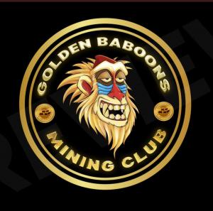 $AABB Golden Baboon