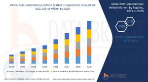 Vehicle Market