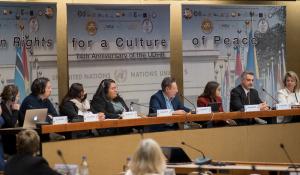 74th Anniversary UDHR - Panel Civil Society Human Rights Good practices