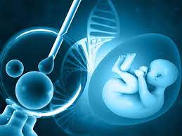 In Vitro Fertilization (IVF) Market