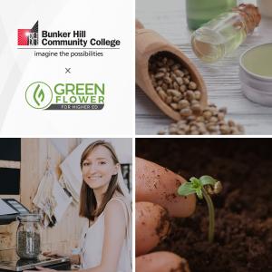 Bunker Hill Community College and Green Flower partner on cannabis education certificate courses