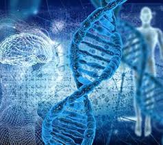 Gene Panel Market