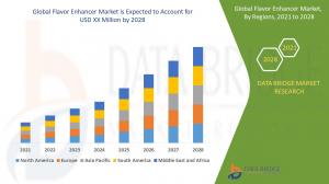 Global Flavor Enhancer Market