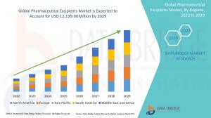 Pharmaceutical Excipients Market
