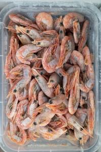 Frozen Seafood Packaging Market