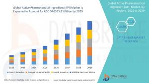 Active Pharmaceutical Ingredient (API) Market