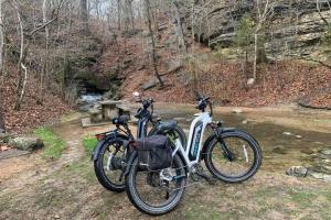 hardtail electric mountain bikes