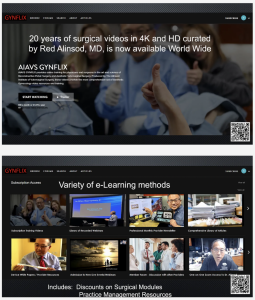 GYNFLIX Cosmetic Gynecology E-Learning Membership