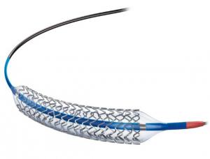 Coronary Stents Market
